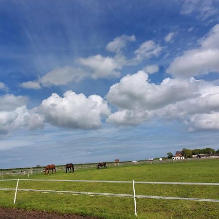 Braemar Equestrian, East Riding Of Yorkshire Hotel Burton Pidsea Exterior photo