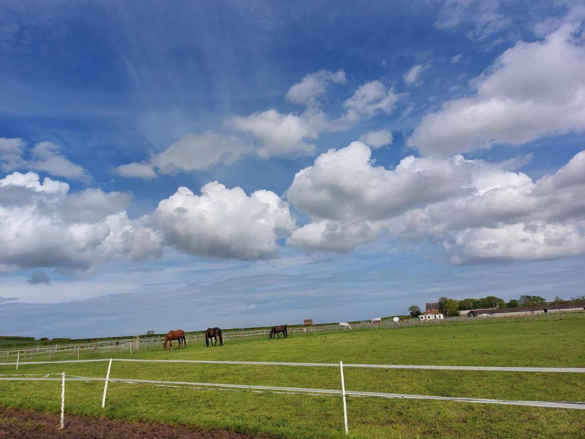 Braemar Equestrian, East Riding Of Yorkshire Hotel Burton Pidsea Exterior photo